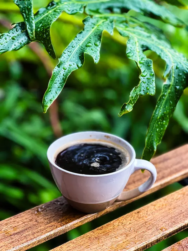 Specialty coffee served outside at the bakery café